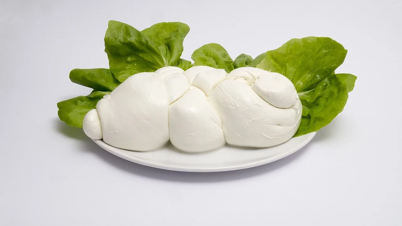 what is the best cheese for pizza - buffalo mozzarella 